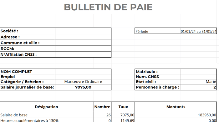 Modèle de bulletin de paie en RDC image